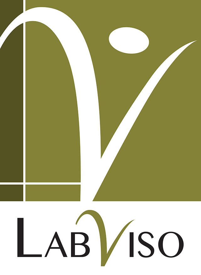 Lab Viso Logo