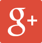 Google+ icon